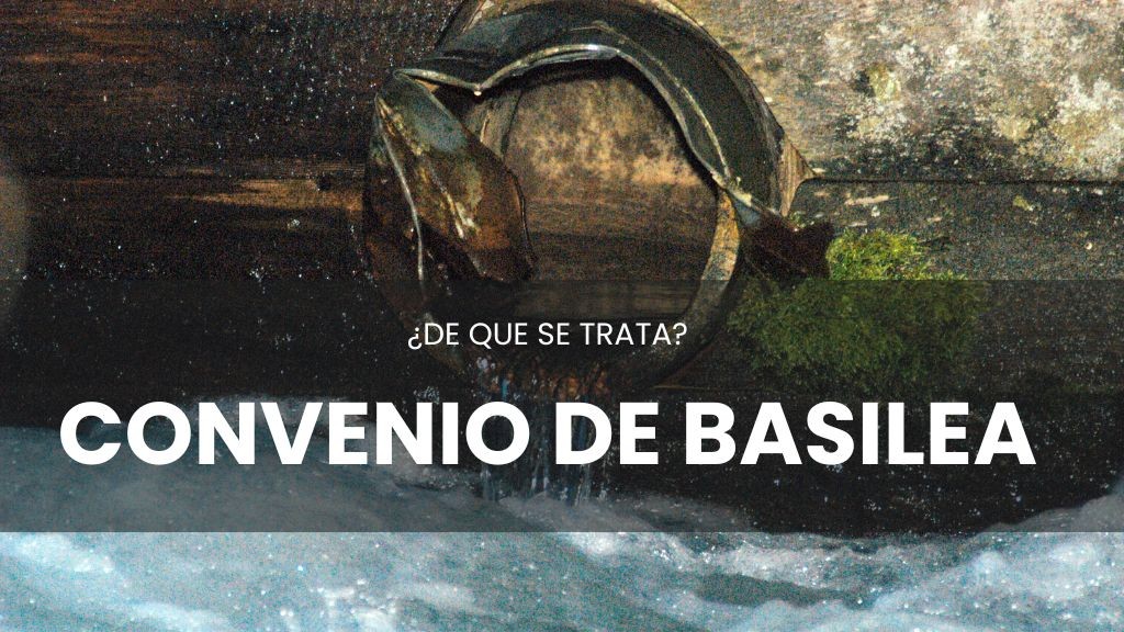 Convenio de Basilea, un acuerdo transfronterizo para los residuos peligrosos